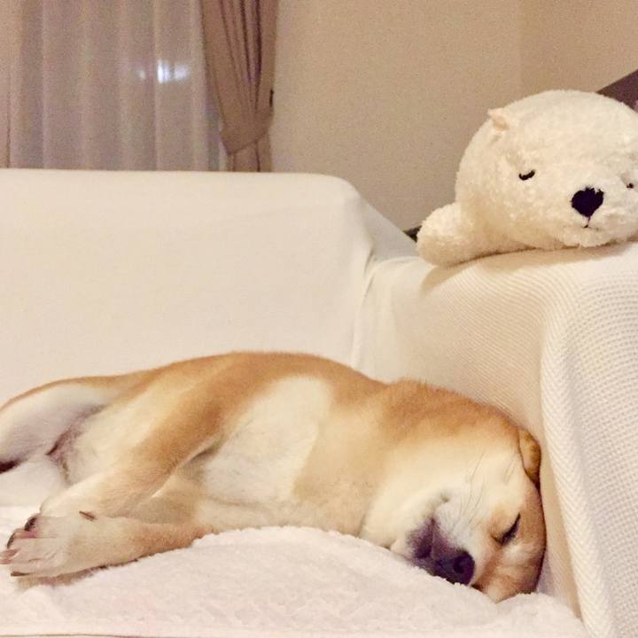 208602b3 318e 4616 a125 f847242c5787 1509629696342