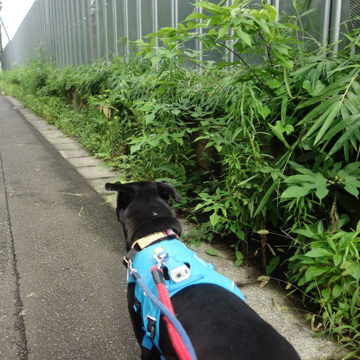 20861978 bd07 4af6 8cb8 952d2ce08388 1626224165124