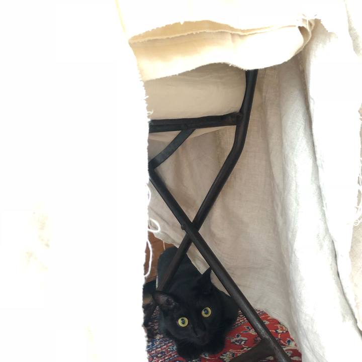 20863fd6 b703 4d5f a208 3254553e3c8c 1534562664779