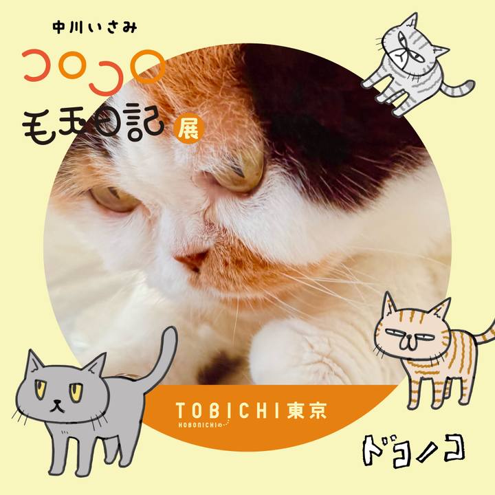 2086585a a7b9 4f5f 9104 7403f060633e 1740192194866