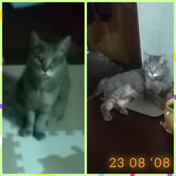 20869a5f 3afd 4f0b 9d13 08737487e571 1723048383596