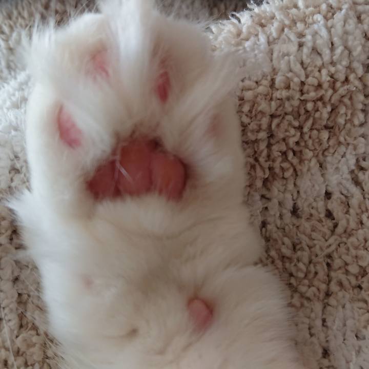 2086a305 819e 4dac b899 7e689e169afc 1550499392802