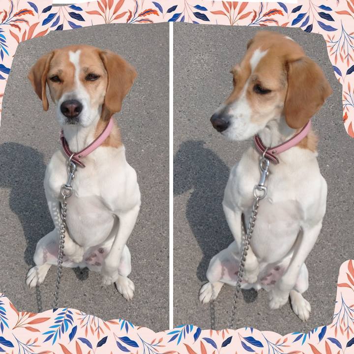 2086a852 0749 4d90 9676 5a0f5964b4e8 1588397732832