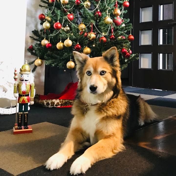 2086c844 7f34 4cf5 ac85 d37b08072039 1577247302876