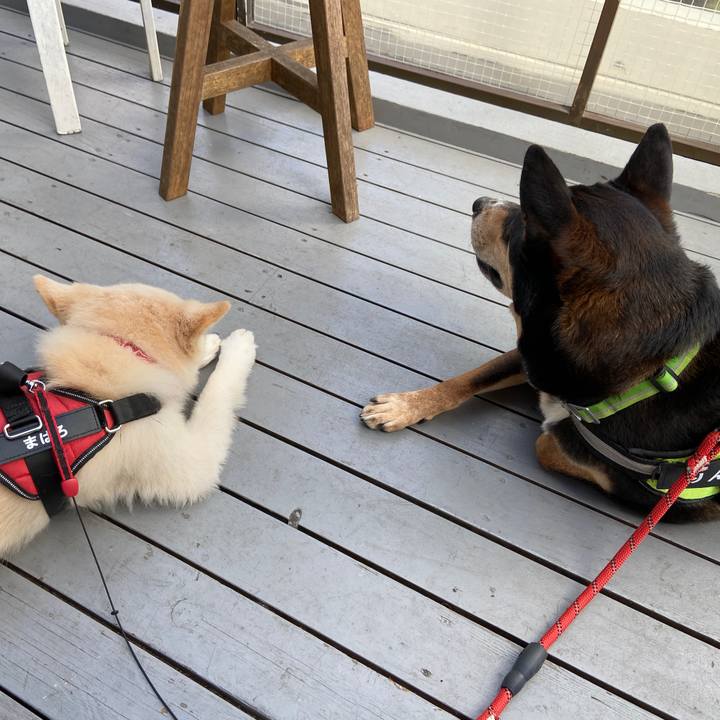 2086cea6 0504 4e05 857a 6a9c40a40bdc 1666167338895