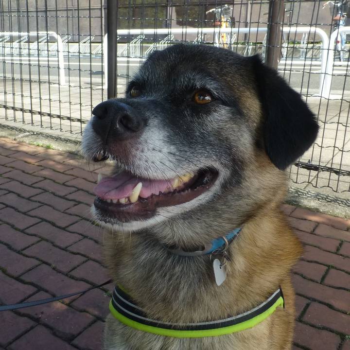 2086d4bf ae17 4ebc 9027 6144cb516ff3 1580347082510