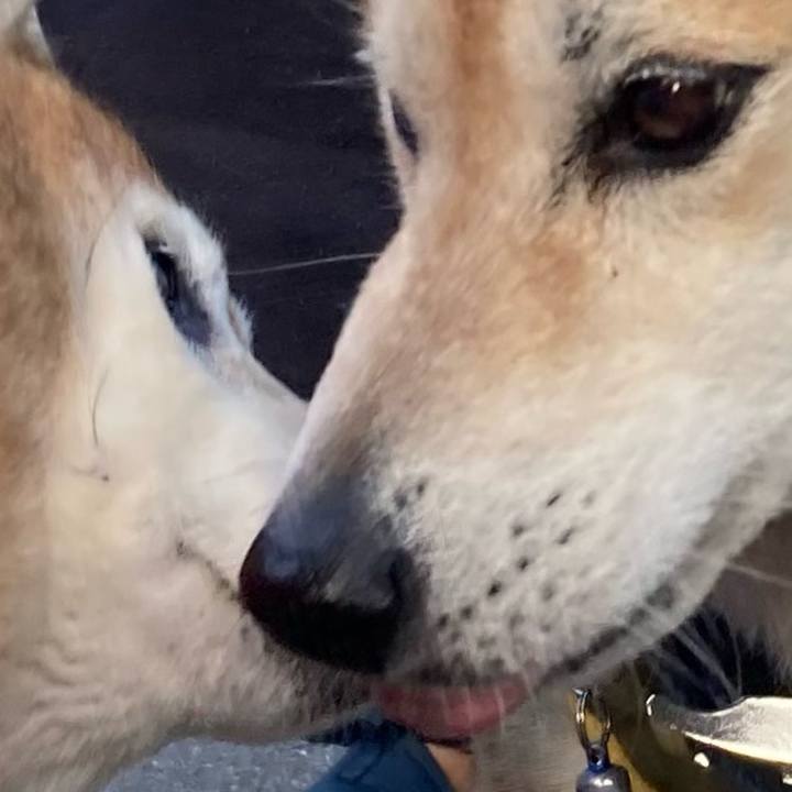 2086e323 8098 4c3f bd6c c04000d50e4f 1767179366602