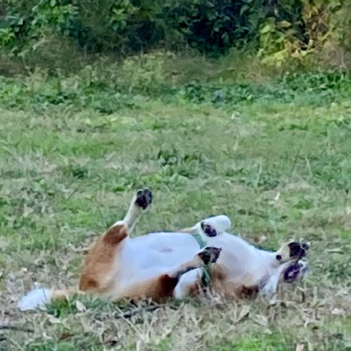 2086e505 4d3f 49e6 8d5c 41f12c6e133c 1700788622711