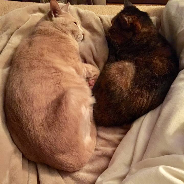 2087128a dd7a 4524 8c7a 7cb51702259c 1617020664737