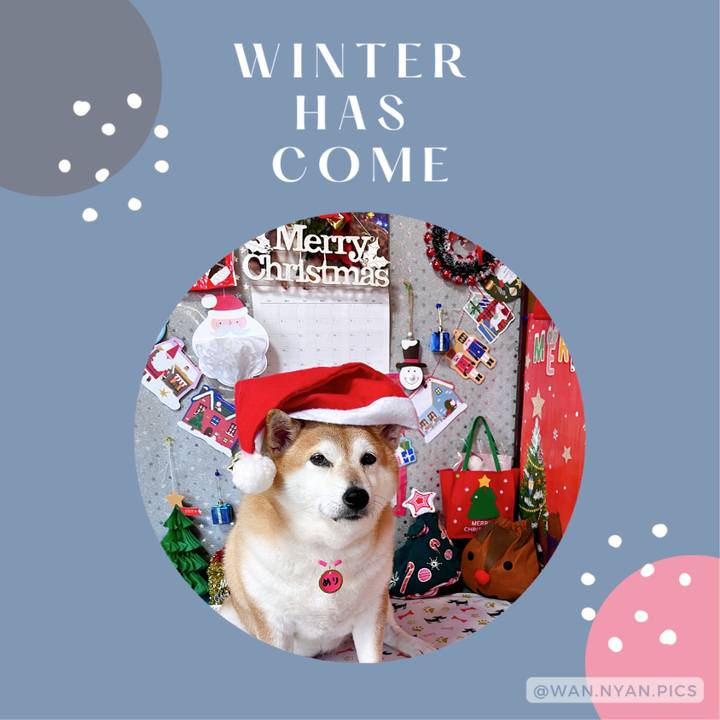 20877a9f 5add 40b4 8f50 8a5b6dc570b0 1701763488287