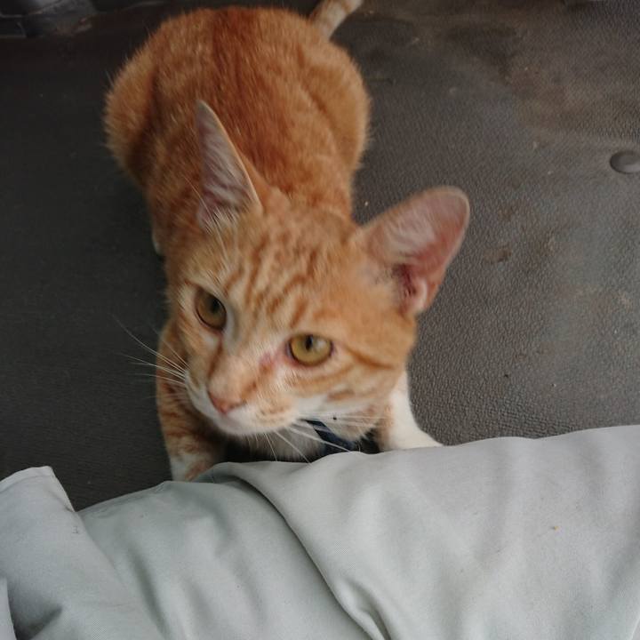 2087832d 8874 401f 8e31 5d0186da6737 1562145369600