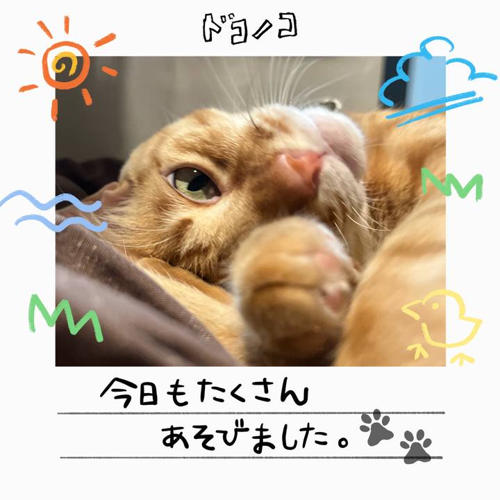 20878d9e 0ced 4645 8fa7 6479dca42f2e 1755396263839