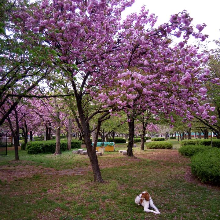 2087b643 2b3d 4868 a030 7030808d3459 1523273810409