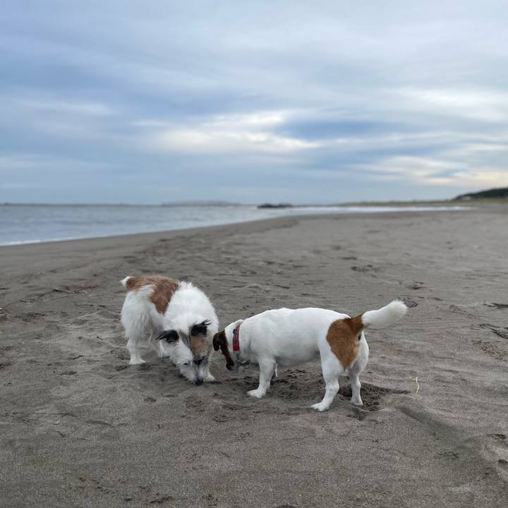 2087e519 c84f 457b aaa3 4551876f8c80 1760400020160