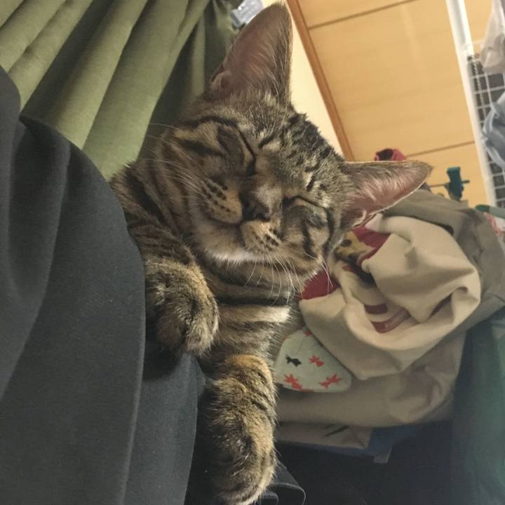 2087f3c9 74f5 49a5 873a b67b09c3ae86 1544027297941