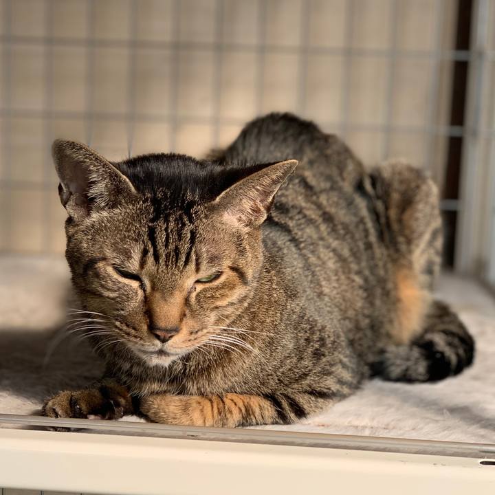 2087fcc0 5268 4acb 8d51 68bba428a667 1584926701754