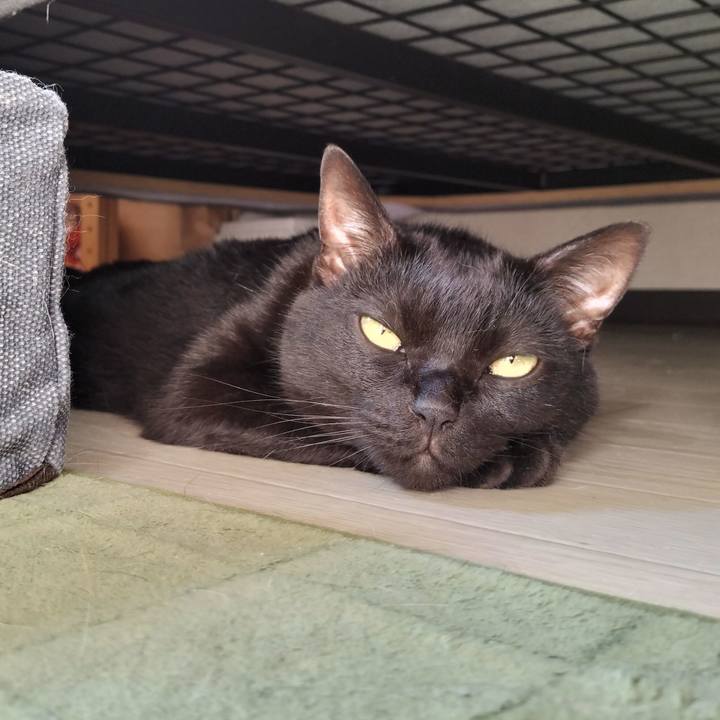 2088342e eb7e 4d07 9c40 6d539654b3dc 1654988646200