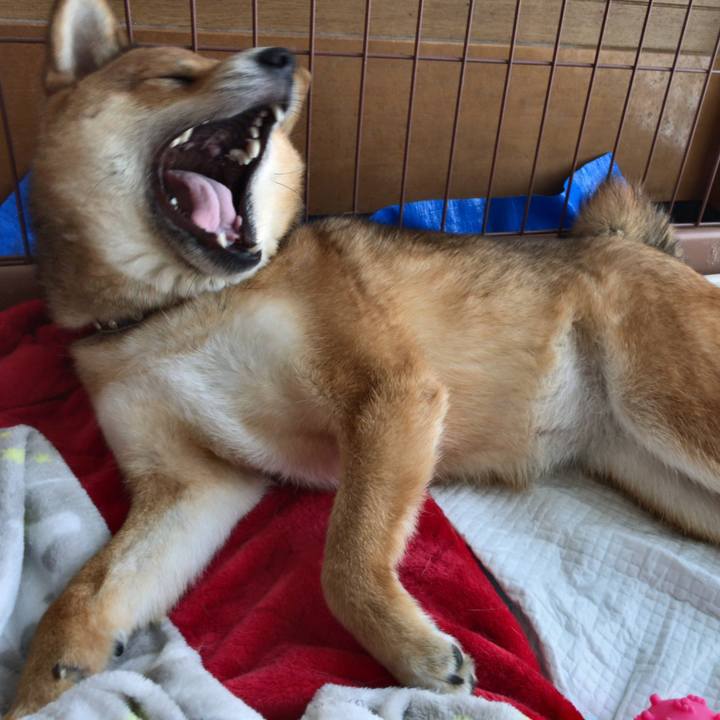 20886167 ea97 45ec a8e1 343c9323a2b2 1524552011734