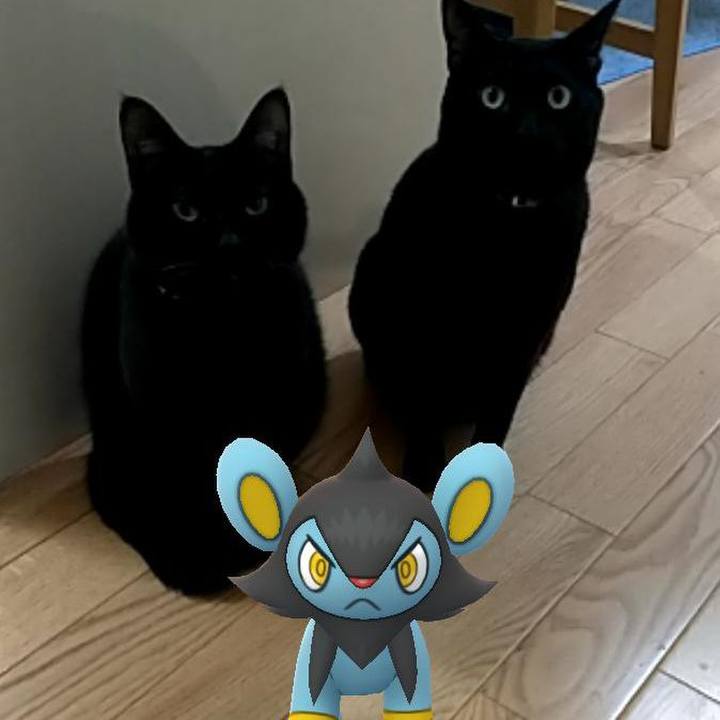 20889a9b 9456 4132 87b5 271668927021 1551225940209