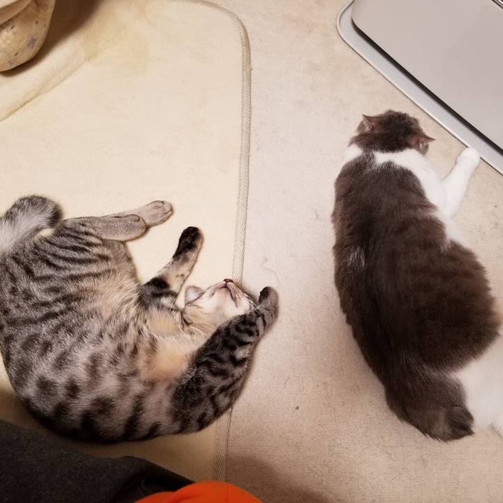 2088b022 c29c 479f 9ef0 25eb546ac08b 1673768309620