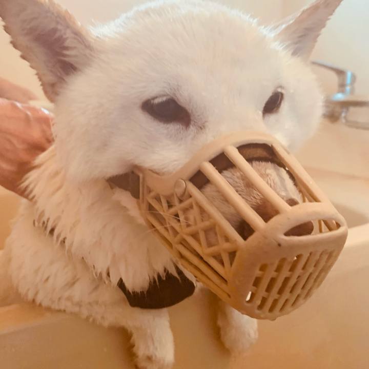 2088bf18 b6db 4487 a5c8 33d56b453e7e 1640939233065