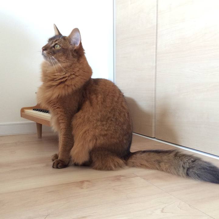 2088cd87 d5ac 47da ae99 0e18670af444 1598838749966