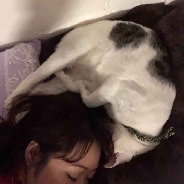 2088e5ea 5c71 4c2f bdf8 9f1e136e641c 1539794218571