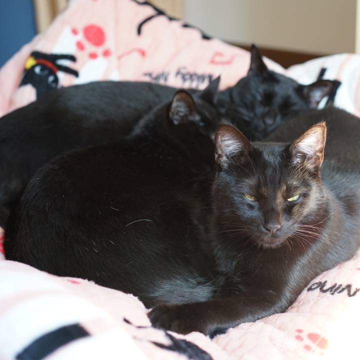 2088f915 474a 4f71 8155 c8adb839a32d 1555249443543