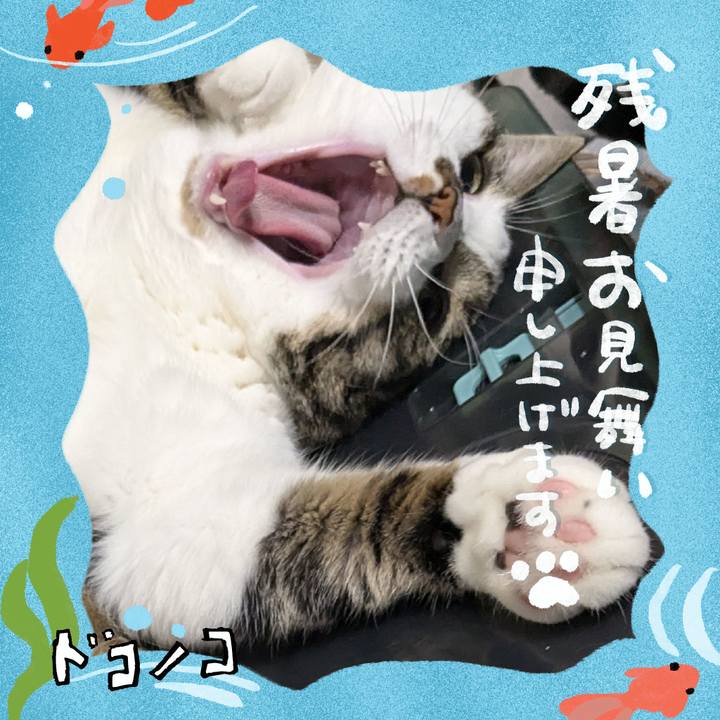 2089126c 8d20 42be 958b 3c3524f359c2 1723380373078