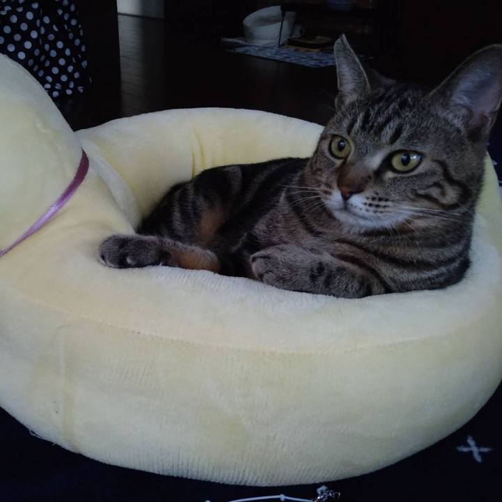 2089128d 0d52 4756 9a9d 2f917ee21225 1700562632274