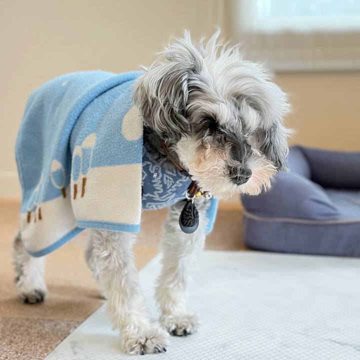 20893f34 ceb7 4396 abd4 341dda6bb306 1765000205106