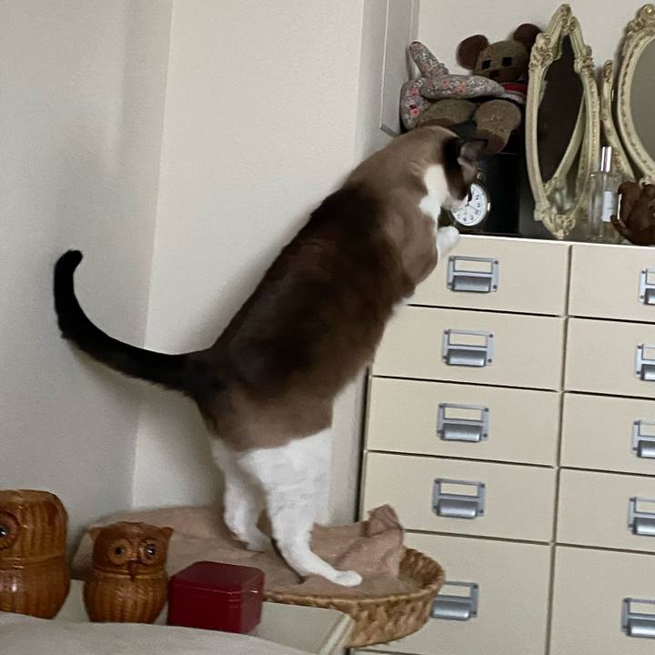 208965ab 35e8 4b8d 8c48 8170825e47f6 1599529311417