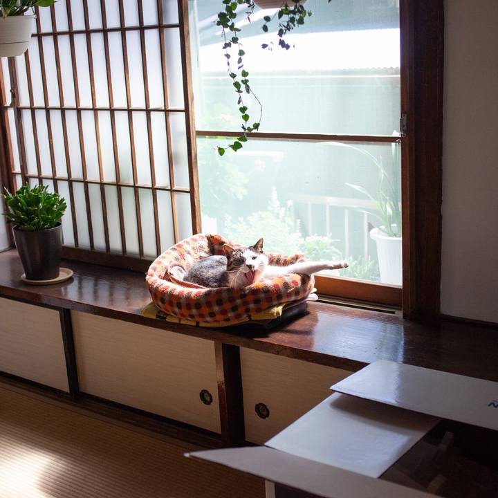 208972a7 8363 49d9 bfef cebdc5fe7111 1557588881368