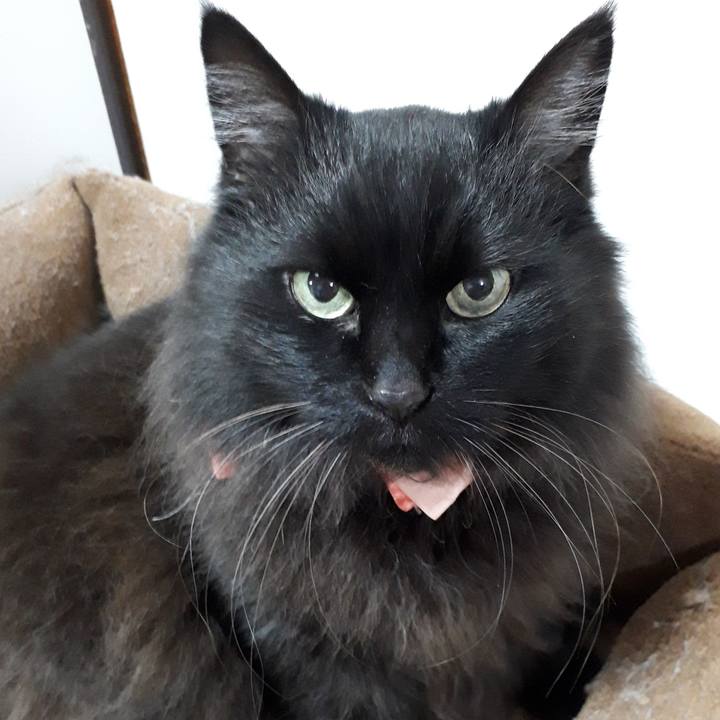 208986b0 bf1f 44d3 a20c 8c6032db23ca 1521145603695