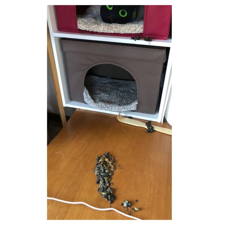 208a80ed 5ed7 4adc 9522 884ae07ba9c0 1586985961458