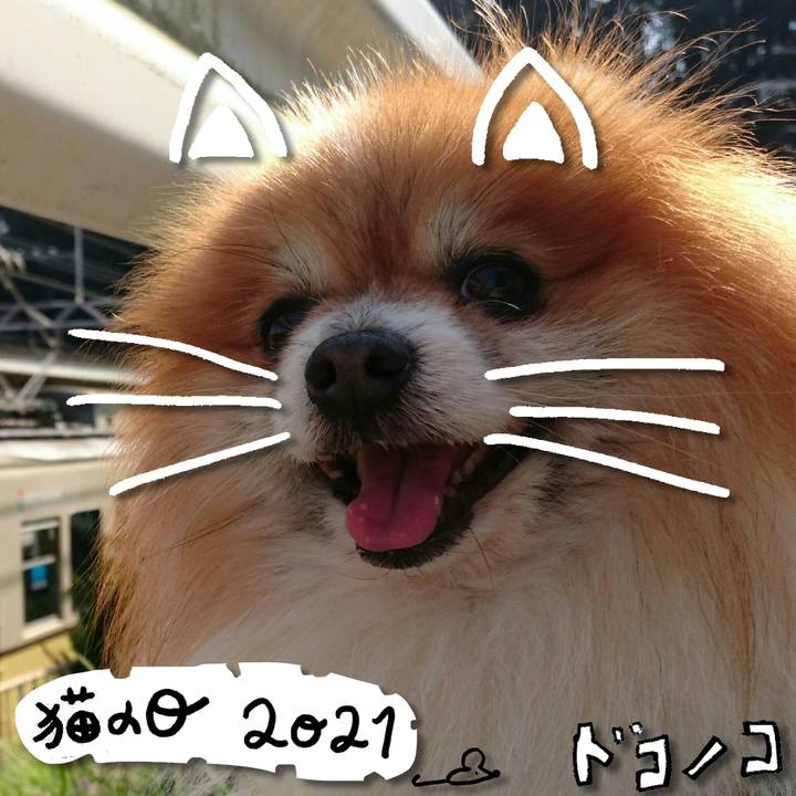 208ac9da 4d6e 447c 81db 71d566072a52 1614004606448