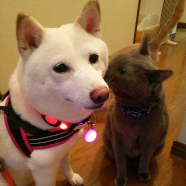 208aff12 b21f 4ef5 82a1 f560e1c784b0 1563703850169