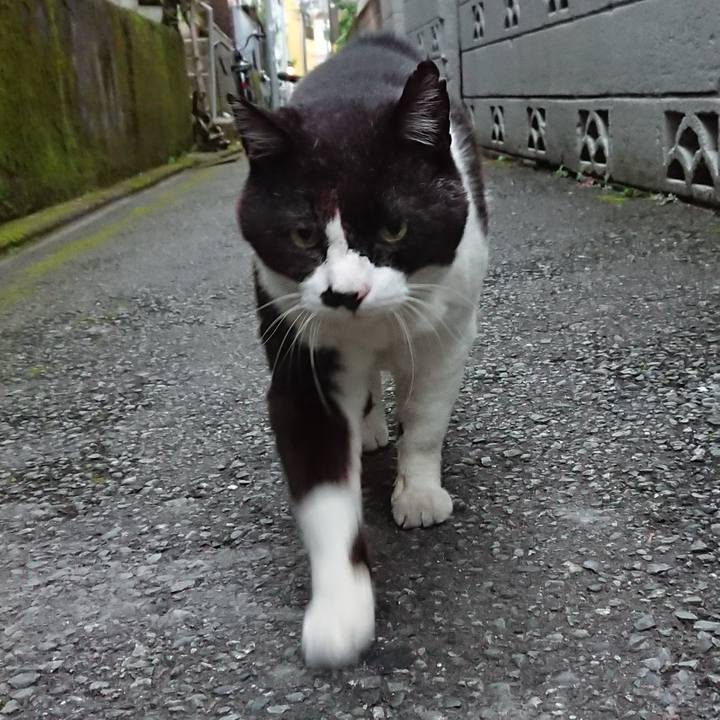 208b176b 5e3a 4dc5 99a0 58fc00a1f80c 1654006080191