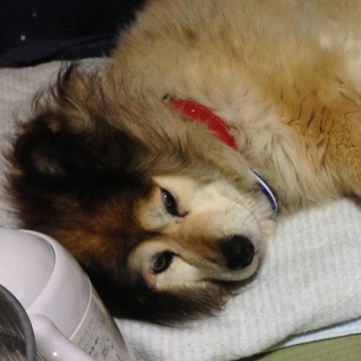 208b2c29 2f05 404b 9cba cf424ee106d7 1604801150592