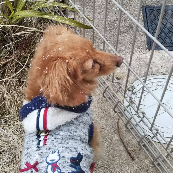 208b327e 67b7 439f a781 af6271eb29aa 1581977241922