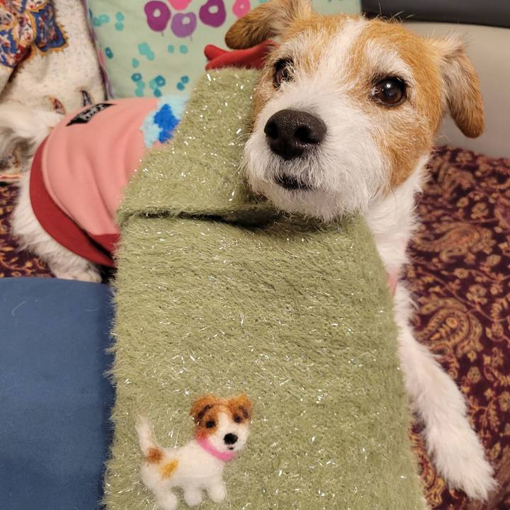 208b4a03 2336 4b91 8824 8d8fb3de4add 1738314005782