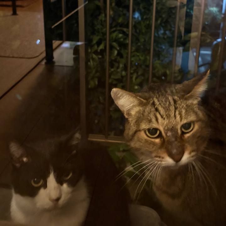 208b5db7 c44c 4adc 9b7a d4970a793bb2 1761221365031