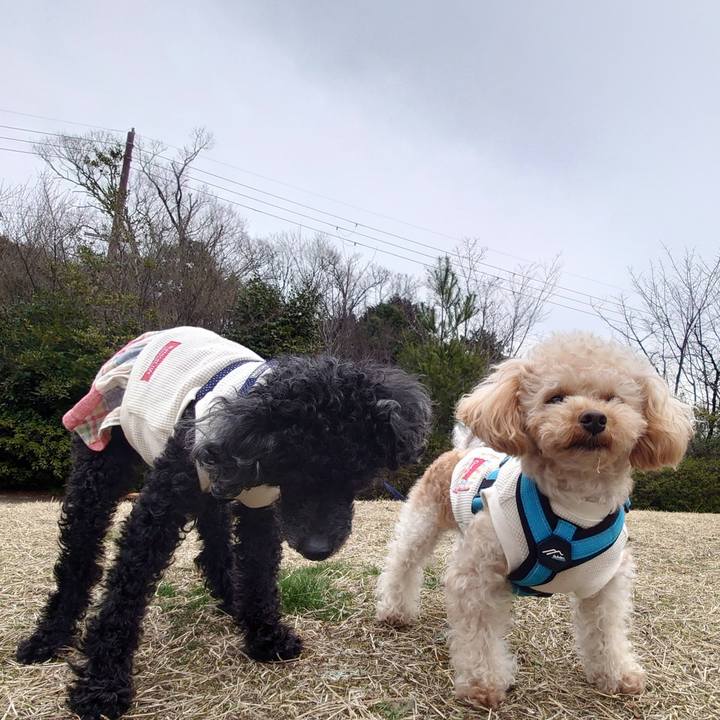 208b6fd7 a946 4854 a7b1 141621729bca 1773803109104