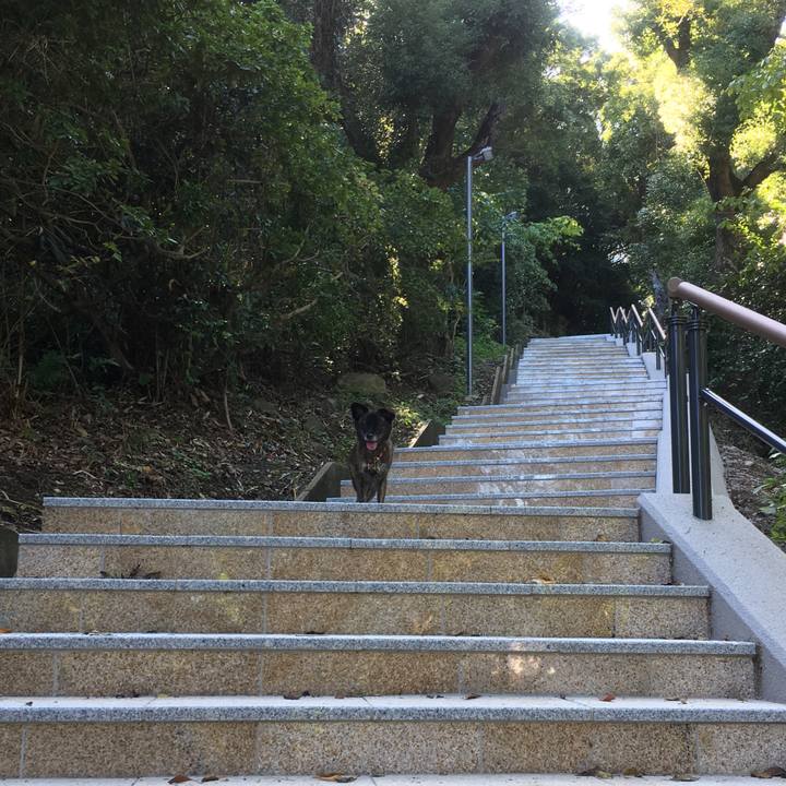 208b78d0 d81e 429c ba21 630feb810936 1507719569776