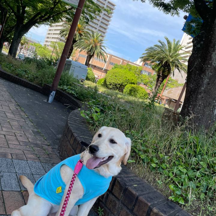 208b7b65 5f0d 433c b558 f2a4161a86a3 1621426777363