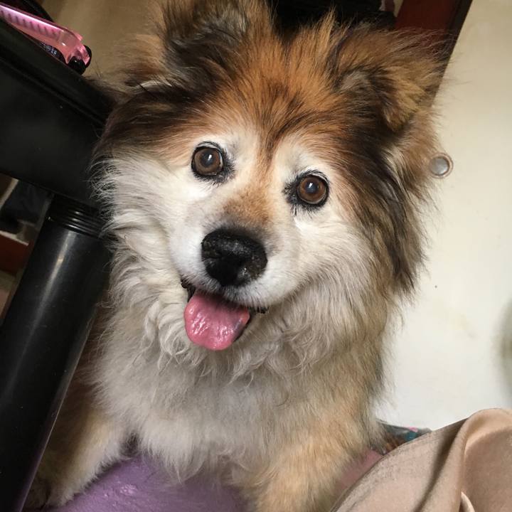 208bac54 c8c4 4dc6 ab1f e426e9240b95 1602378574466