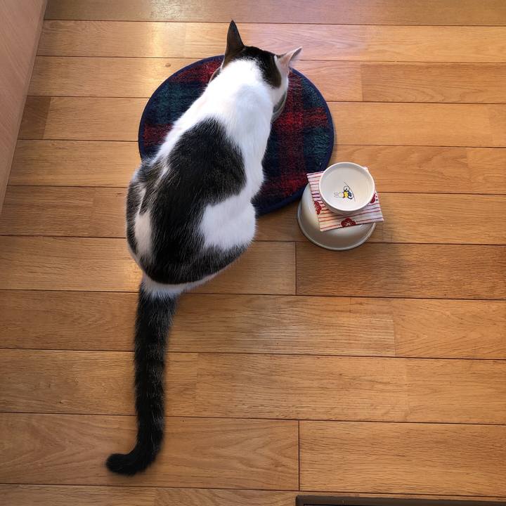 208bb935 0796 42ff 841b 487dadfc7c6e 1597612929412