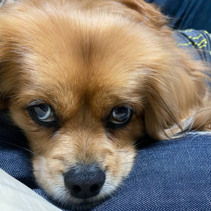 208bccea af3f 47ee b3cc e5b4eaf560dd 1615845234684