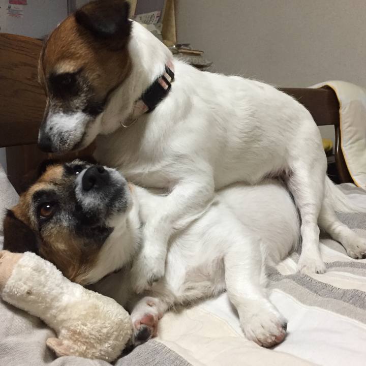 208c02b5 dbc9 43ef b783 0542acb8d2b2 1556800674696