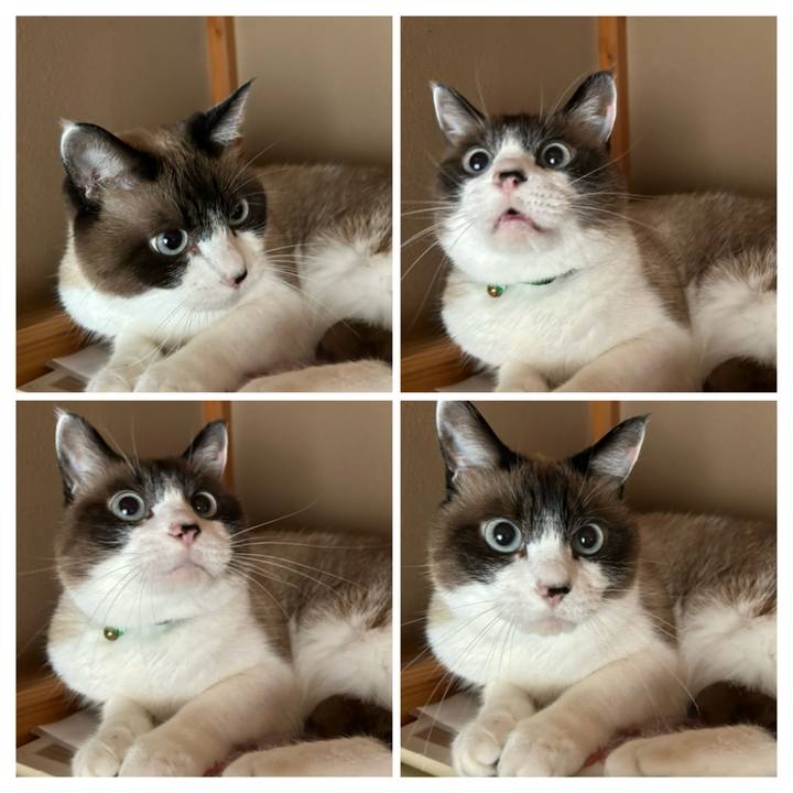 208c2104 fbfa 4236 bdbe 7a9e2a32e0a5 1759617132198